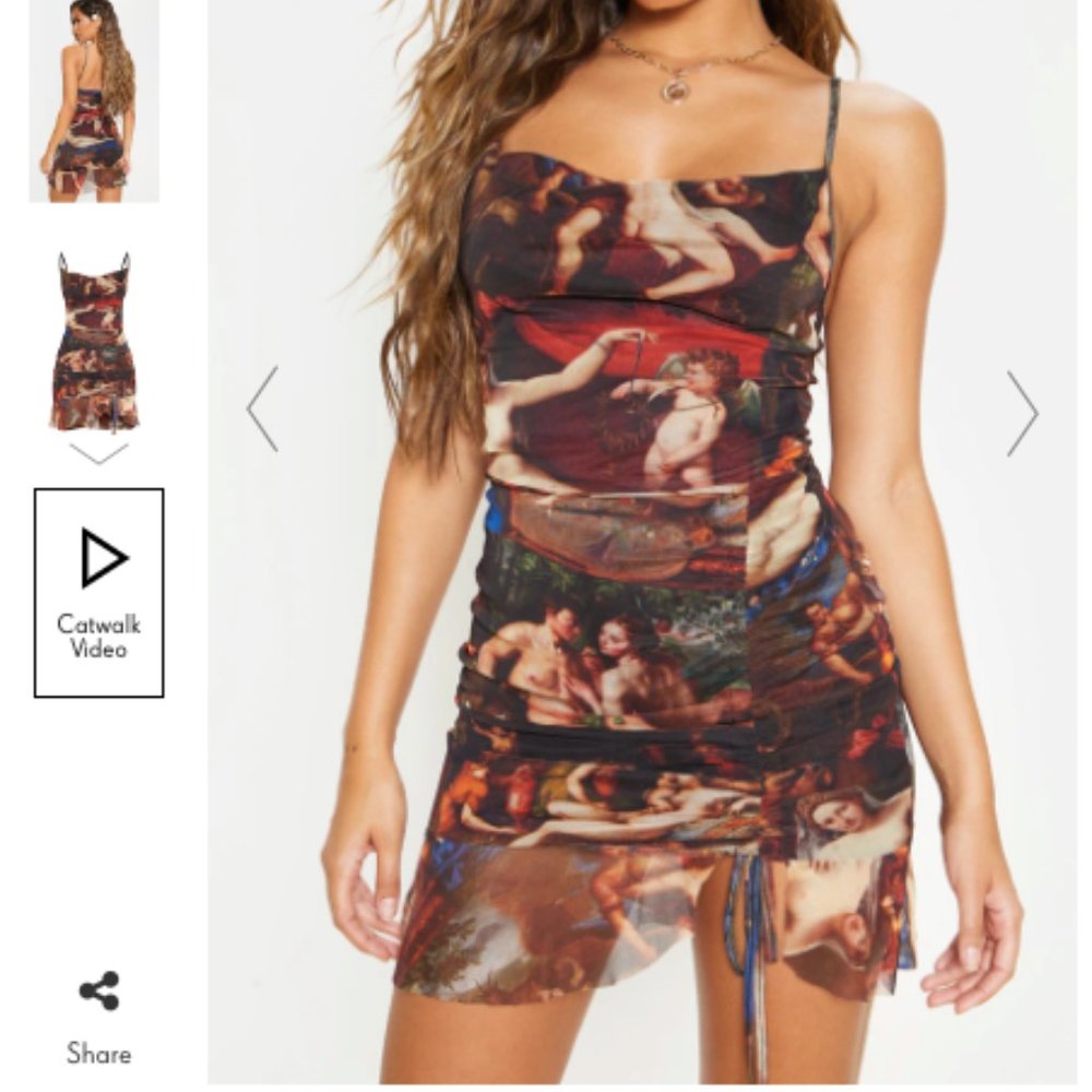 PrettyLittleThing Multi-Color Renaissance Print Mesh Midi Dress